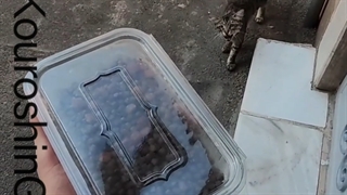 قول داده بودم کمک کنم