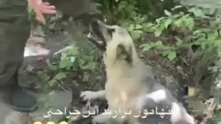 کل بدنش فلجه، فقط سرش رو تکون میدهHi،کپشن whole body is paralyzed, he just shakes his head.caption