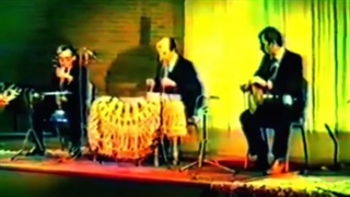 کنسرت برلین ۱۳۶۲ فرامرز پایور رحمت‌الله بدیعی محمد طهماسبی پیش‌درآمد ابوعطا