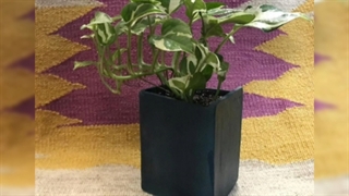 گلدان لوکس مشکی برای محیط کار و اداری 09129410059