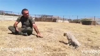 پیروز با خاک آشنا شد