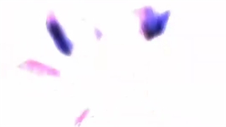 میخوام اعتراف کنم من عاشق شدم دلباخته انیمه