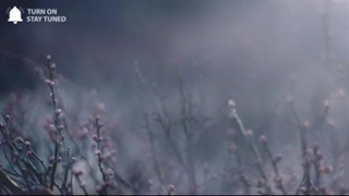 آهنگ Lovely زیرنویس فارسی