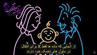 انیمیشن تعیین جنسیت