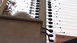 دزد بی دزد