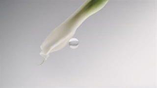 ایسه میاکه لئو د ایسه پورهوم