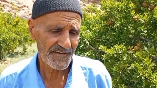 (تجربه یه باغدار نمونه انار)