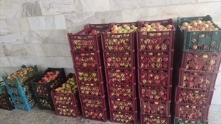 توزیع میوه اهدایی نیکوکار عزیزمان سری دوم