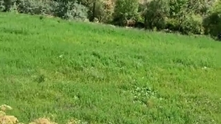 مسیر دیدنی و بکر طالقان به گچسر  | املاک باشی