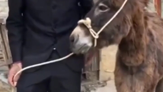 میخوام بازیدا و نظرات و بترکونید و اگر نه میترکونمیتونبا ویدئو ی بالا  :// ( کپشن )