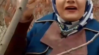 تقویم محتوایی چیست؟