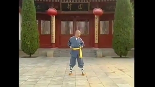 اجرای فرم سنتی شائولین یان کینگ چوان