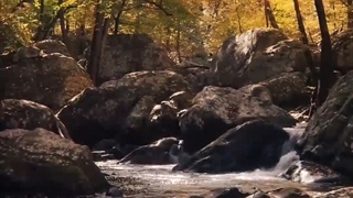 چرا دعام مستجاب نمیشه؟