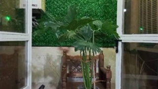 فنس چمنی بالکنی امن