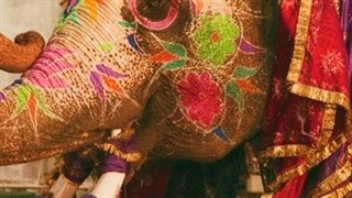 شرایط اخذ ویزای هند