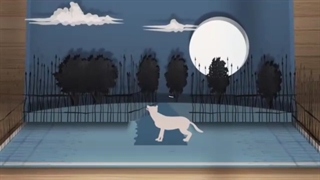 جشنوارۀ قصه‌گویی کانون پرورشی