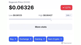 آیا Dogechain کلاهبرداری هست؟