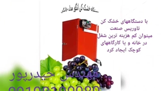خشککن انگور سیب،میوه و سبزی