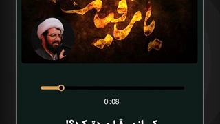 در کربلا کی از بی قراری دق کرد؟