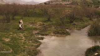 ایلما قاسمی