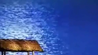 بین من و تو عزیزم فاصله تا کی...