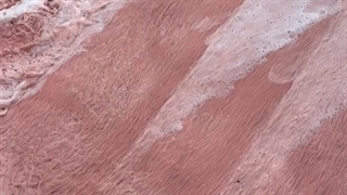 شستشوی فرش در منزل