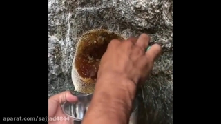 استخراج عسل طبیعی