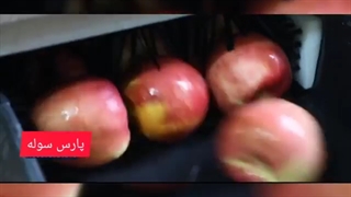 احداث خط تولید چیپس میوه