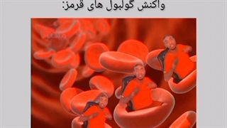 این مطلب حق محدودیت زمانی ندارد 8