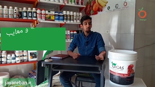 کود مرغی و چرایی استفاده از آن در کشاورزی و باغداری