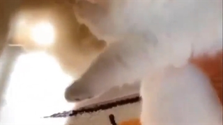 سووو کیوتتتت o(╥﹏╥)o