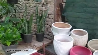 مصاحبه آموزشی درباره هزینه راه اندازی کسب و کار گل فروشی