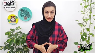 همه چیز درباره آبیاری اصولی گیاهان آپارتمانی