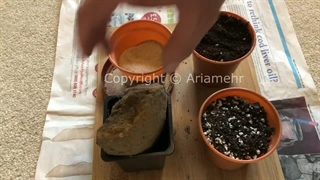 Watering Plants - آموزش آبیاری گیاهان