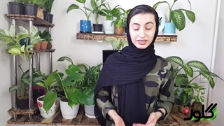 گیاهان آپارتمانی مقاوم به نور کم + نگهداری و جزییات خرید آنها