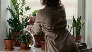 چگونه رشد گیاهان آپارتمانی روافزایش دهیم:چندروش فوق العاده برای رشدگیاهان آپارتمان