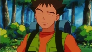 Pokémon Season 3 Episode 25