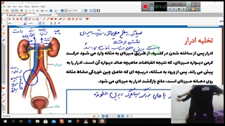 تدریس سمی زیستتت!!! خنده دارر
