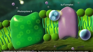 انیمیشن مفهومی فتوسنتز! 09044686613 تدریس زیست