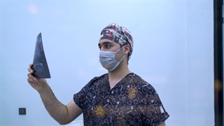 معرفی دندان پزشکان کلینیک بارانا