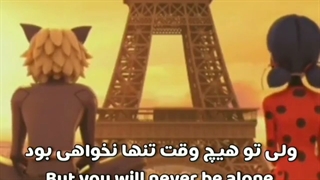 میکس رمانتیک لیدی باگ و گربه سیاه