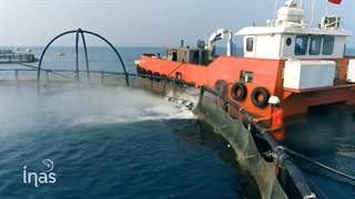 تمیز کردن قفس های مزرعه دریایی با استفاده از نت واشر