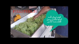 دستگاه شیره انگور گیری