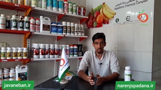 چرا کود کلسیم مایع  بیوگرین برای محصولات باغی و زراعی مهم است؟