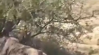 ببینید♥️ آنجا که راه نیست،،خدا راه میگشاید