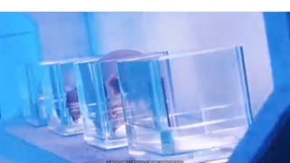 انقد خودتون نکشید تئوری راجب پینک ونوم بسازید. یه بخش خیلی مهمش رو جیسو بهمون گفت