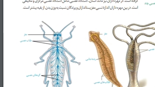 موسسه مشاوره کنکورآرت اراک-تدریس زیست یازدهم-جلسه 13-فصل1 -امین فراهانی