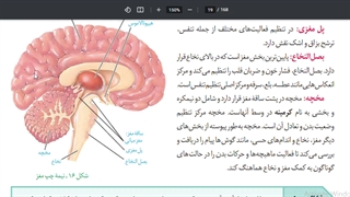 موسسه مشاوره کنکور آرت ارک- تدریس زیست یازدهم-جلسه 7 - فصل 1 -گفتار 2 -امین فراهانی