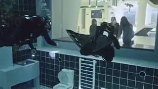 ویدیوی کوتاه جالب و زیبا