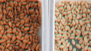 آراد سورتینگ سورت بادام درختی 855-20-40-0919